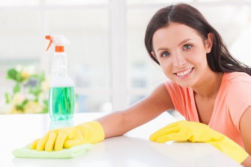 Professional cleaners working in a Kingston Upon Thames home