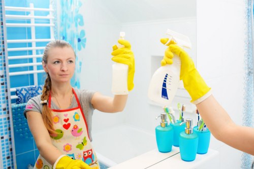 House cleaning tools arranged for a home cleaning routine