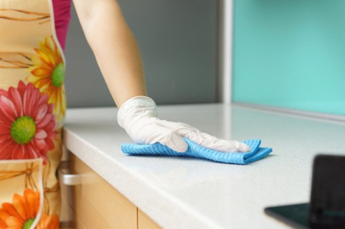 Bright, spotless windows after professional cleaning service