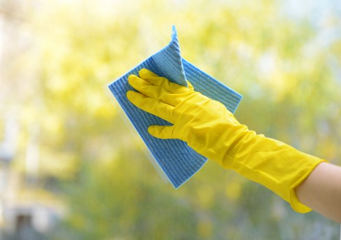 Deep cleaning preparation for a bright Kingston apartment