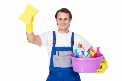Professional rug cleaning in a bright home setting