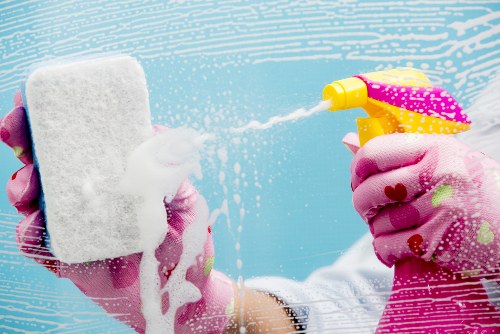 Professional domestic cleaning tools and supplies