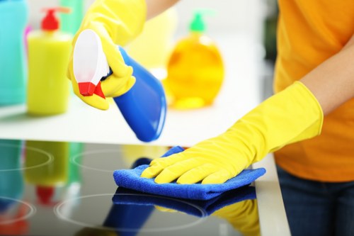 Professional regular cleaning in an office environment