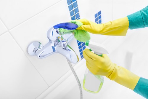 Oven cleaning supplies prepared for use